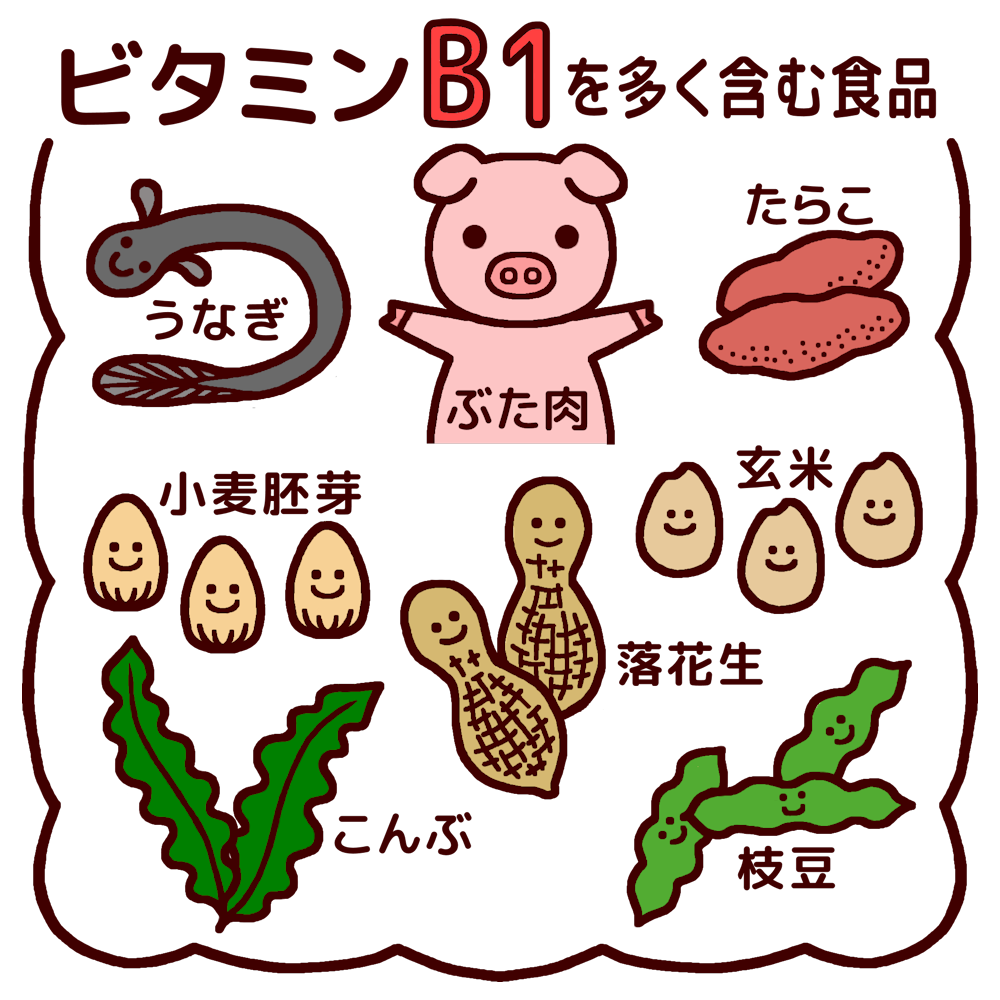 ビタミンb1を多く含む食品 カラー 給食の無料イラスト 生活 学校素材