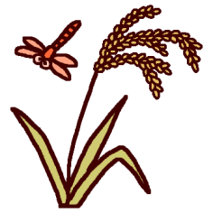 稲穂と赤とんぼ カラー お月見 稲刈りの無料イラスト 秋 ミニカット クリップアート素材