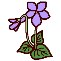 すみれ スミレ カラー 春 花 植物の無料イラスト ミニカット クリップアート素材