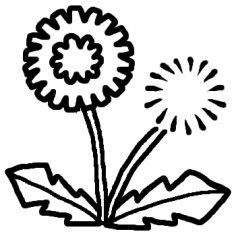 たんぽぽ タンポポ 白黒 春 花 植物の無料イラスト ミニカット クリップアート素材