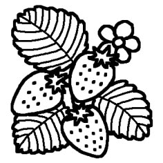 苺 イチゴ 白黒 春の味覚の無料イラスト ミニカット クリップアート素材