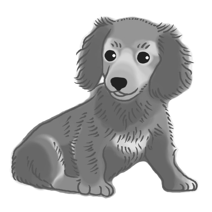 ミニチュアダックス3 モノクロ 犬の無料イラスト 動物素材