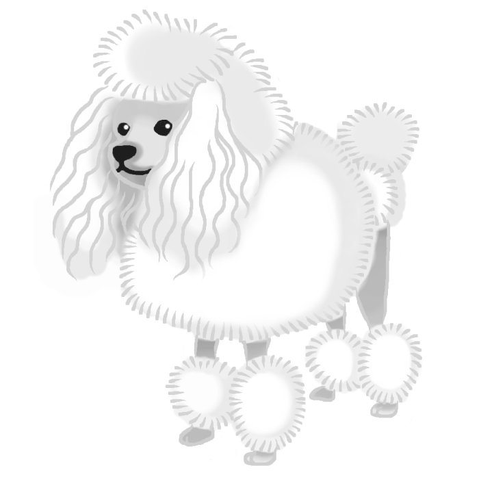トイプードル4 モノクロ 犬の無料イラスト 動物素材
