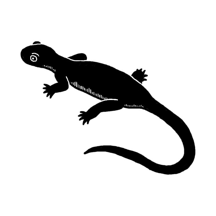 イモリ1 白黒 両生類 動物のイラスト素材