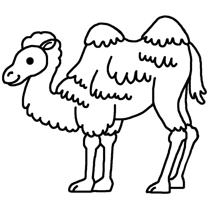 ラクダ 駱駝1 白黒 陸の大きな動物 無料イラスト素材