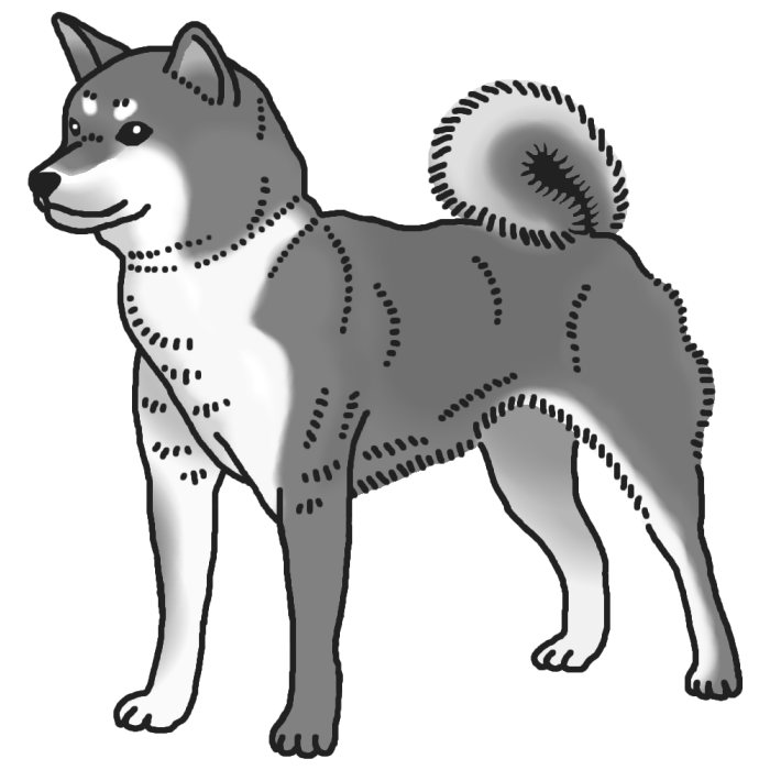 柴犬1 モノクロ イヌ 犬 の仲間 動物の無料イラスト素材