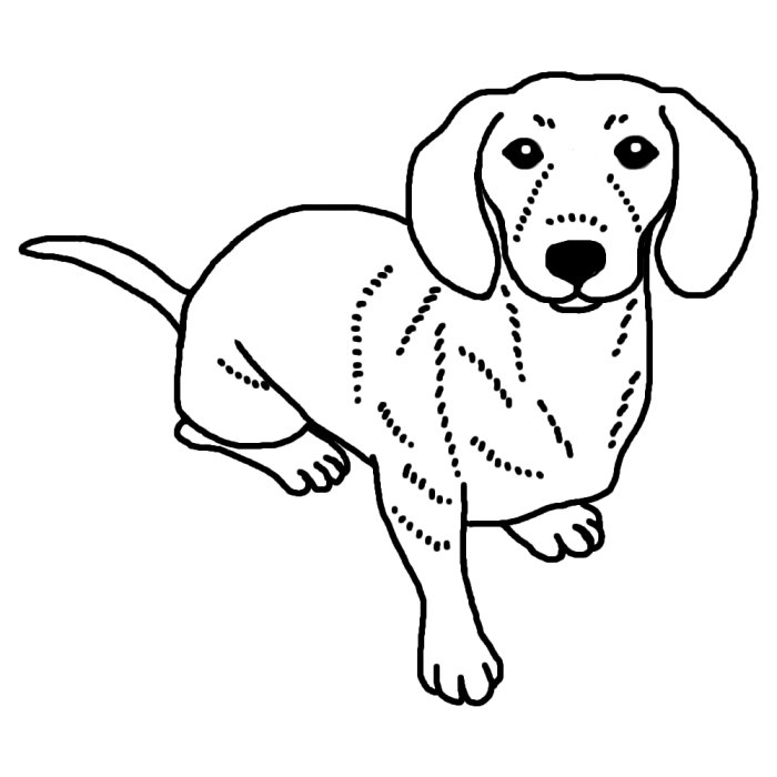ミニチュア ダックスフンド1 白黒 イヌ 犬 の仲間 動物の無料イラスト素材
