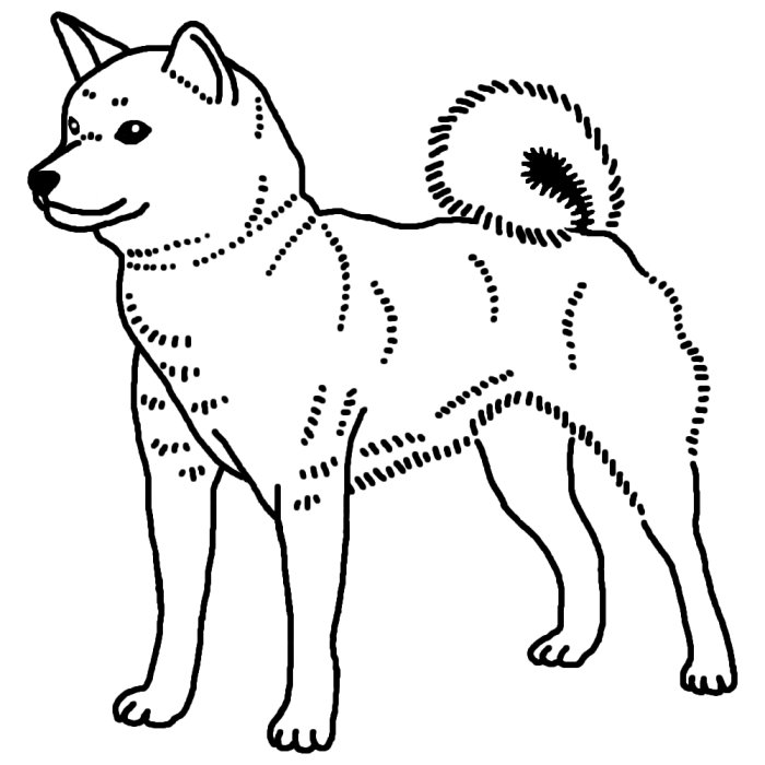 柴犬1 白黒 イヌ 犬 の仲間 動物の無料イラスト素材