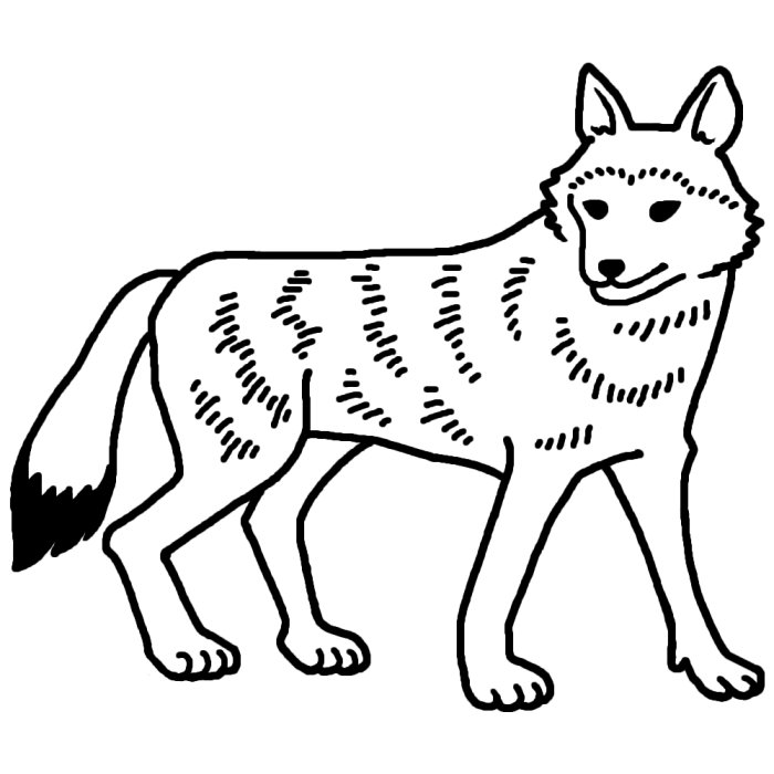 オオカミ 狼1 白黒 陸の動物 無料イラスト素材