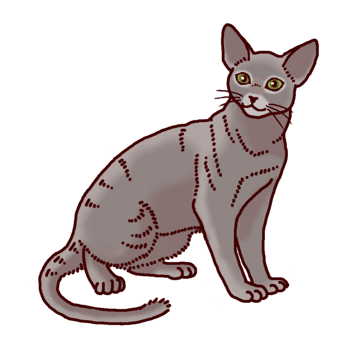 ロシアンブルー1 カラー ネコ 猫 の仲間 動物の無料イラスト素材
