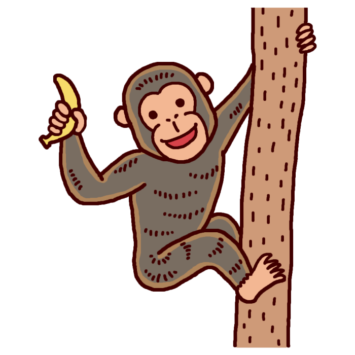 チンパンジー1 カラー サル 猿 の仲間 動物の無料イラスト素材
