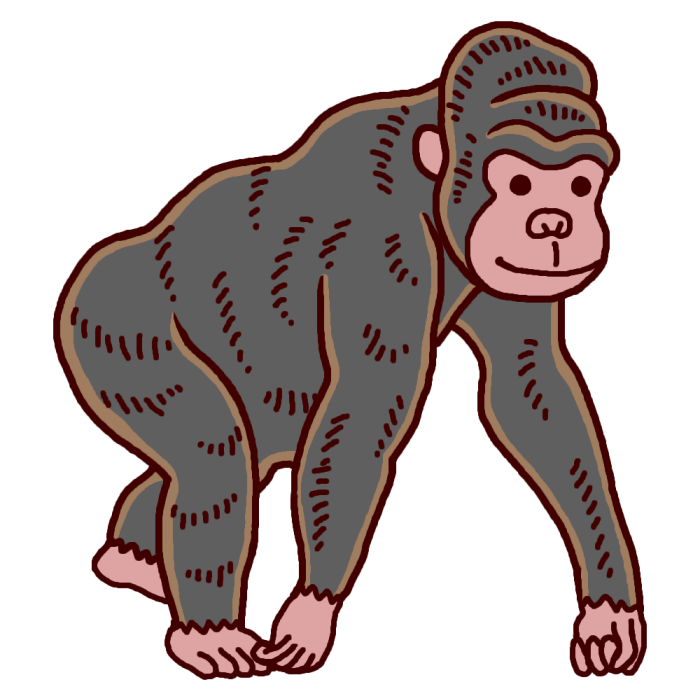 ゴリラ1 カラー サル 猿 の仲間 動物の無料イラスト素材