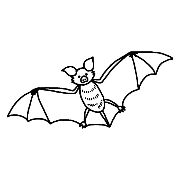 コウモリ 蝙蝠1 白黒 陸の小さな動物 無料イラスト素材