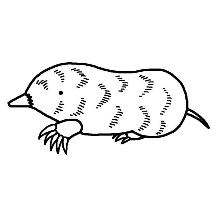 モグラ 土竜1 白黒 陸の小さな動物 無料イラスト素材