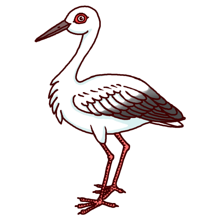 コウノトリ1 カラー 鳥 動物の無料イラスト素材