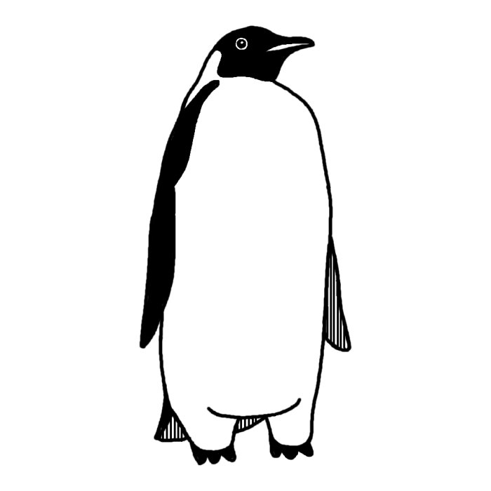 ペンギン1 白黒 鳥 動物の無料イラスト素材