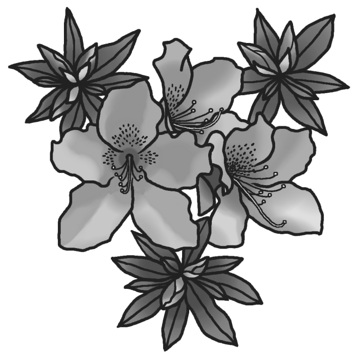 ツツジ 躑躅 モノクロ 春の花 無料イラスト素材