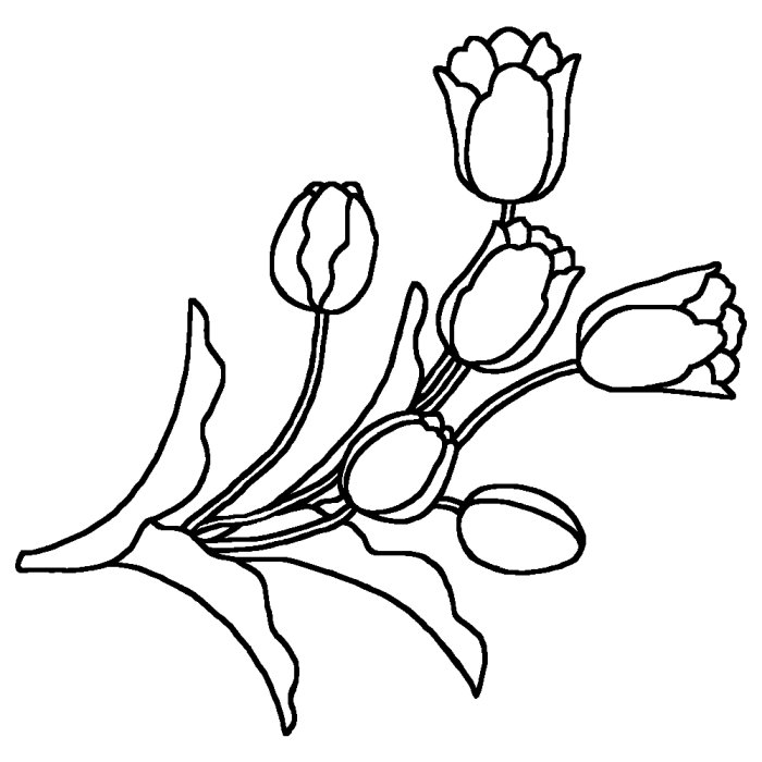 チューリップ1 白黒 春の花 無料イラスト素材