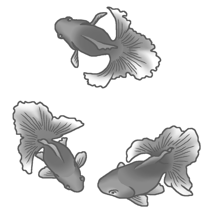 金魚三匹 モノクロ 夏のイラスト 無料素材