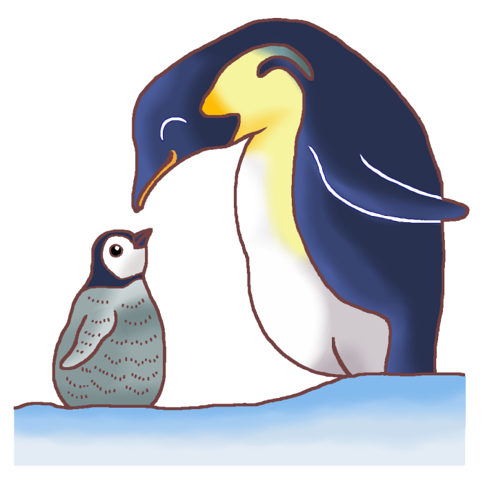 ペンギン親子 カラー 海の生き物の無料イラスト 夏の季節素材